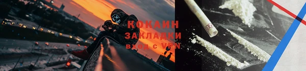 прущие грибы Алзамай