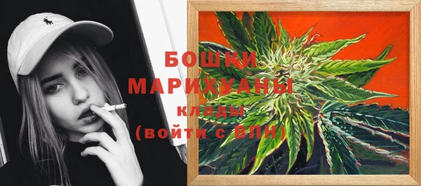 прущие грибы Алзамай