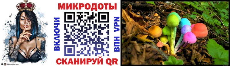 Галлюциногенные грибы Cubensis  Таштагол 